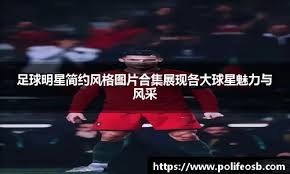 解析线上平台的风控指标（解读在线平台的风险控制指标）